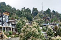 SG-European-Village-38