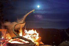 SG-European-Village-45