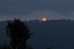 SG-European-Village-46